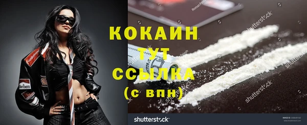 индика Вяземский