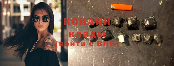 индика Вяземский