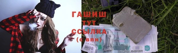 индика Вяземский