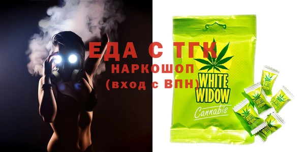 индика Вяземский