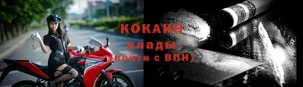 индика Вяземский