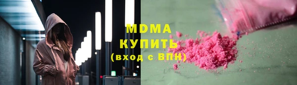 индика Вяземский