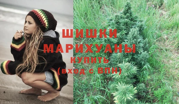 индика Вяземский