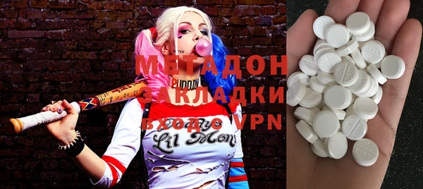 индика Вяземский