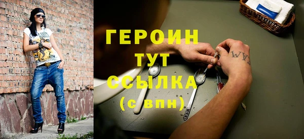 индика Вяземский