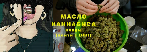 индика Вяземский