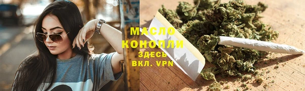 индика Вяземский