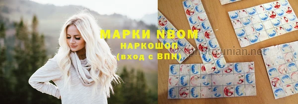 индика Вяземский