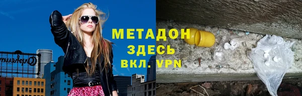 индика Вяземский