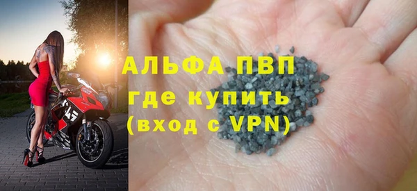 индика Вяземский