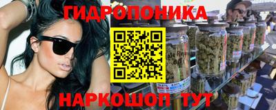 МДПВ Партизанск