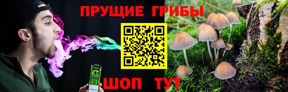 Галлюциногенные грибы ЛСД  Псилоцибиновые грибы Psilocybe  Вход с VPN  Урюпинск 